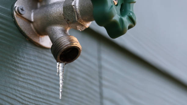 Best Leak Detection Services  in Monterey, TN