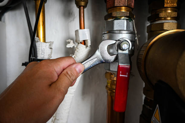 Best Local Plumber Services  in Monterey, TN